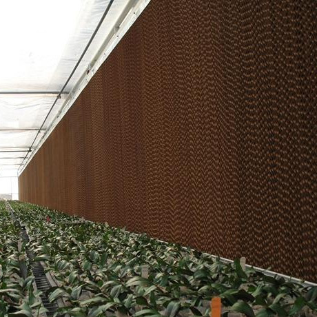 東莞水簾紙廠家直銷